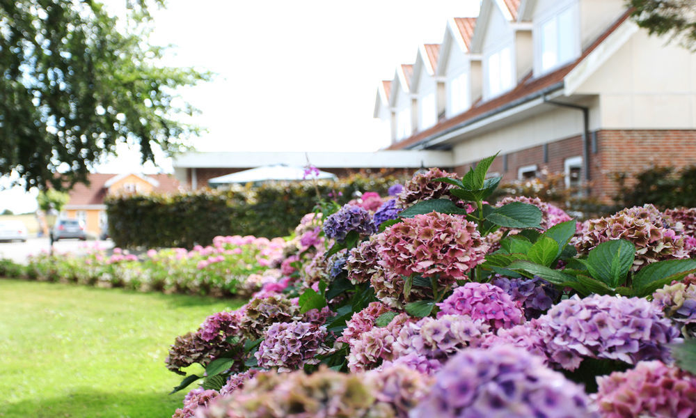Fangel Kro & Hotel Bellinge 外观 照片